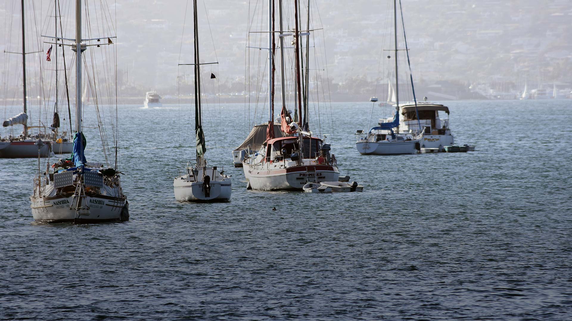 Bootsführerschein Gummersbach